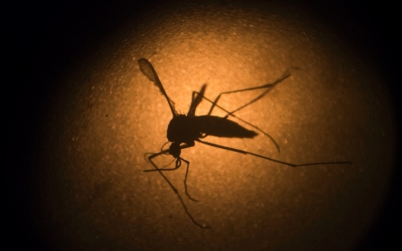 Concerns over the transmission of Zika